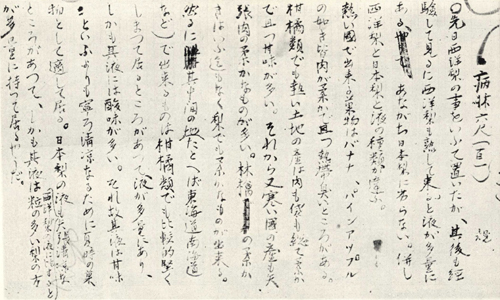 No 008 日本近代文学の言語像 正岡子規論 日本文学の原像 H 総合文学ウェブ情報誌 文学金魚 小説 詩 批評 短歌 俳句 音楽 美術 骨董 古典 演劇 映画 Tv