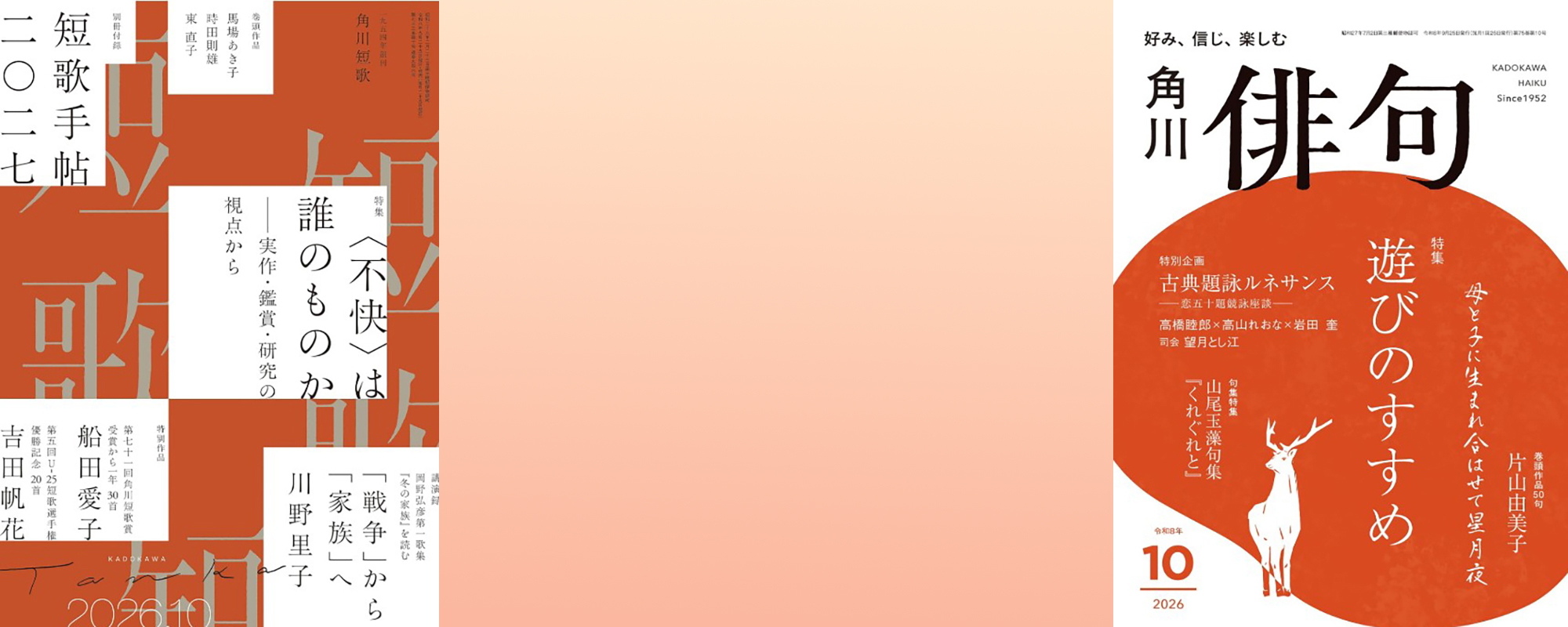 Slider item